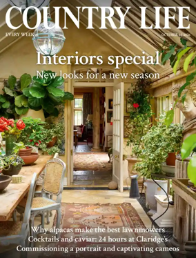 Cover of Country Life