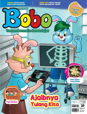 Cover of Bobo