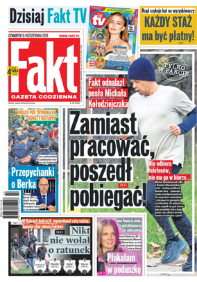 Cover of Fakt