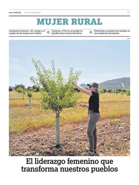 Cover of Suplemento1