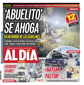Cover of Periodico Al Dia (Celaya)