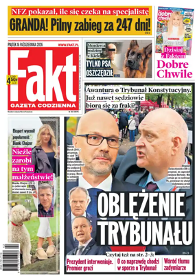 Cover of Fakt
