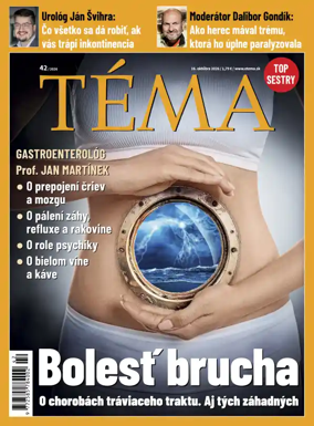 Cover of Tema
