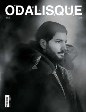 Cover of Odalisque