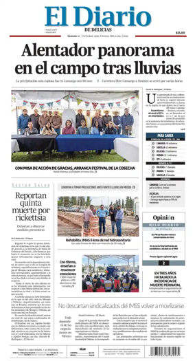 Cover of El Diario de Delicias