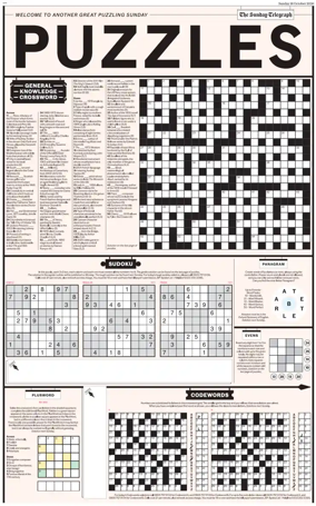 Cover of Puzzles