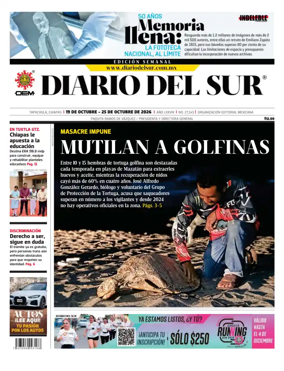 Cover of Diario del Sur