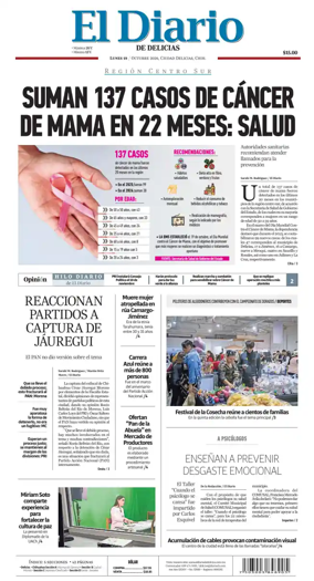 Cover of El Diario de Delicias