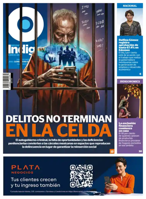 Cover of Reporte Indigo Nacional