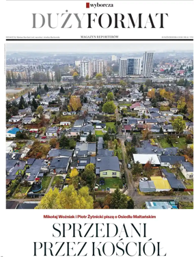 Cover of Duzy Format