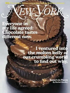 Cover of New York Magazine