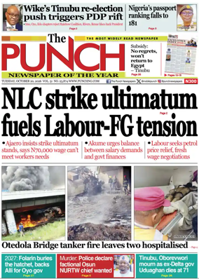 Cover of The Punch