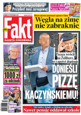 Cover of Fakt