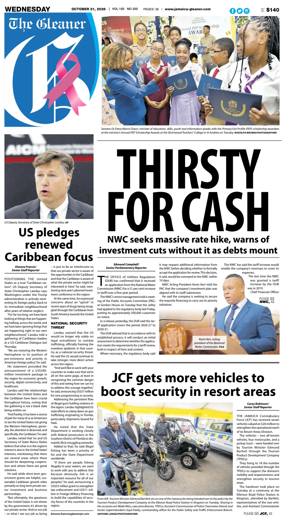 Cover of The Gleaner