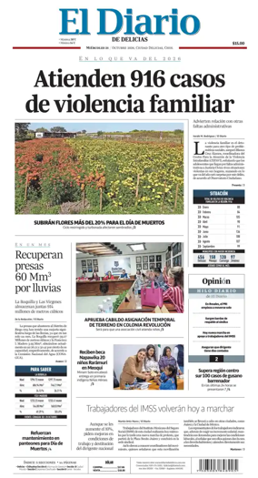 Cover of El Diario de Delicias