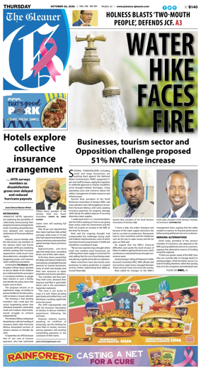 Cover of The Gleaner