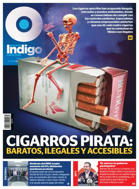 Cover of Reporte Indigo Nacional