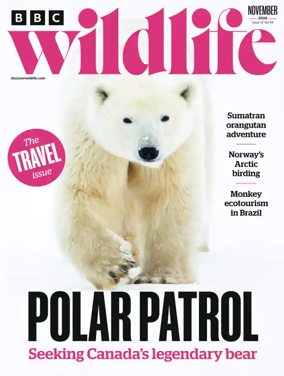 Cover of BBC Wildlife Magazine