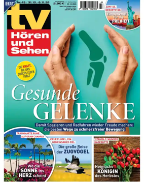 Cover of TV Horen und Sehen