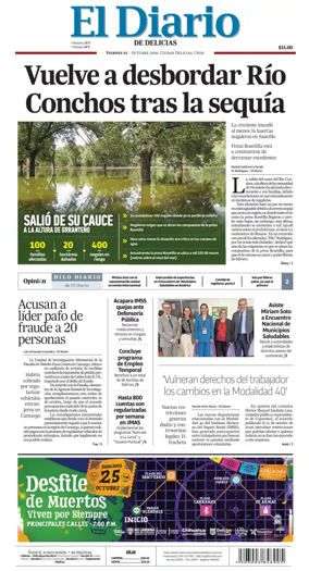 Cover of El Diario de Delicias