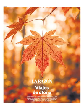 Cover of Especiales