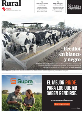 Cover of Rural