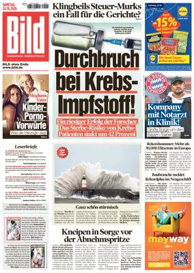 Cover of Bild