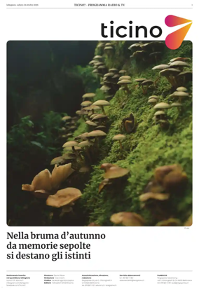 Cover of Ticino 7