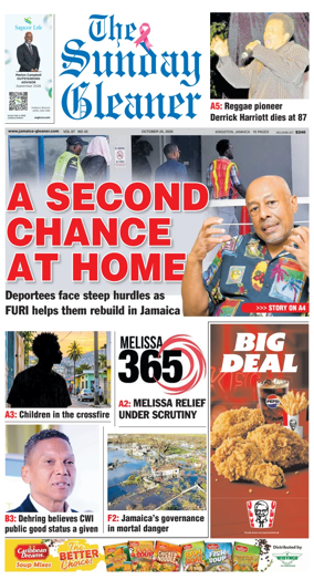 Cover of The Gleaner