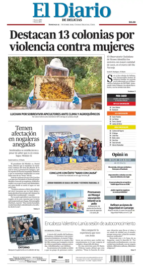 Cover of El Diario de Delicias