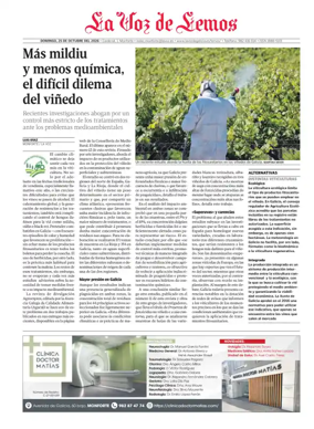 Cover of Monforte local
