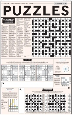 Cover of Puzzles