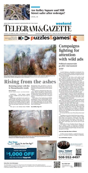 Cover of Telegram & Gazette