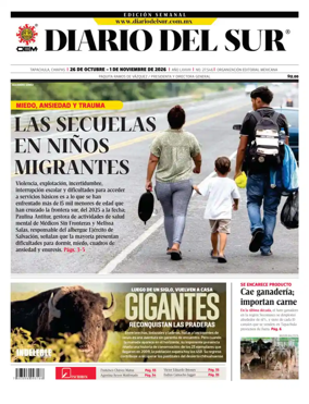 Cover of Diario del Sur