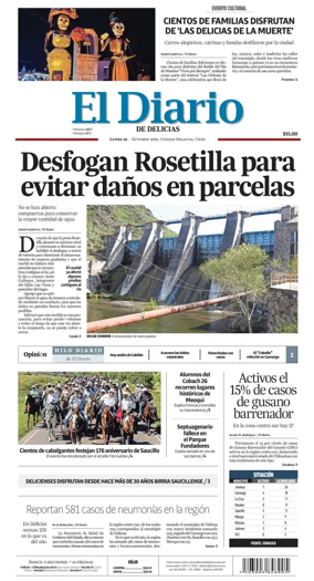Cover of El Diario de Delicias
