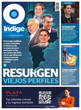 Cover of Reporte Indigo Monterrey