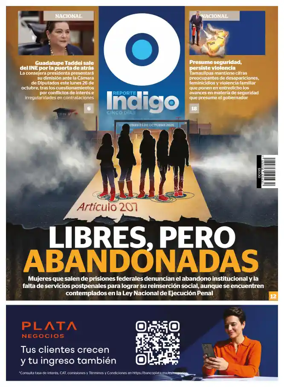 Cover of Reporte Indigo Nacional