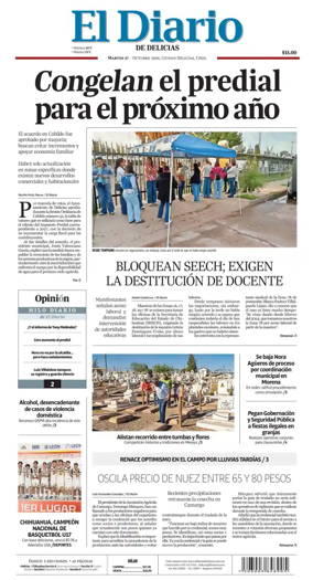 Cover of El Diario de Delicias