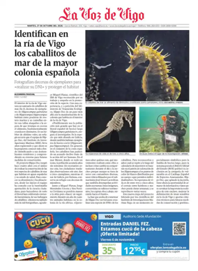 Cover of Vigo local