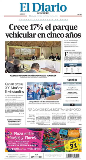 Cover of El Diario de Delicias