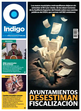 Cover of Reporte Indigo Monterrey