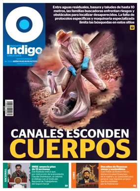 Cover of Reporte Indigo Nacional