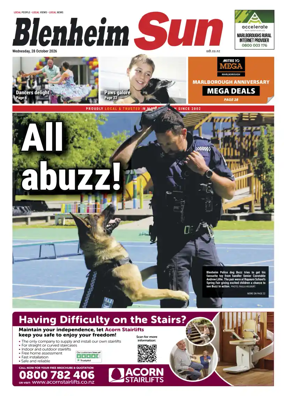 Cover of Blenheim Sun