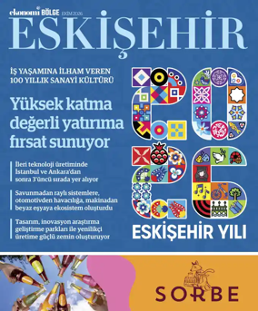 Cover of NBE - Bolge Ekleri