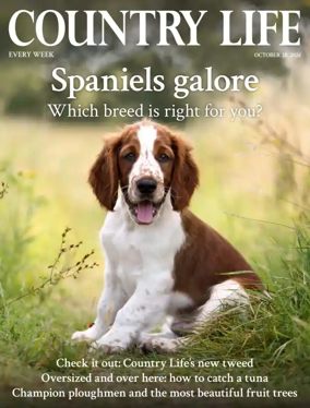 Cover of Country Life