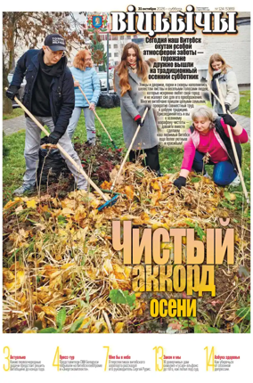 Cover of Vitbichi