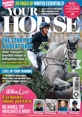 Cover of Your Horse (UK)