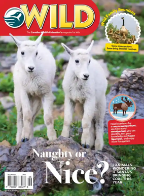 Cover of Wild
